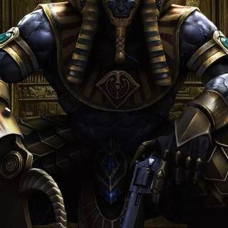 Phone warrior wallpaper