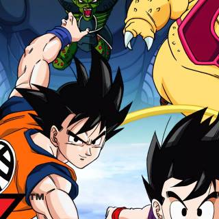 Dragon Ball Z iPhone 12 wallpaper