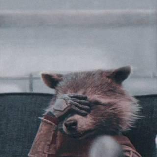 Rocket Racoon iPhone wallpaper