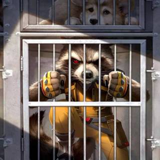 Rocket Racoon iPhone wallpaper