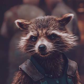 Rocket Racoon iPhone wallpaper