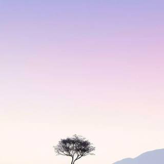 Minimal nature phone wallpaper