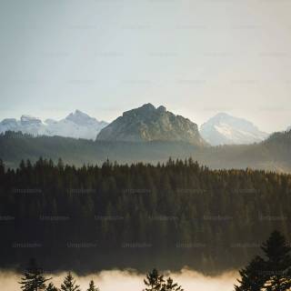 Minimal nature phone wallpaper