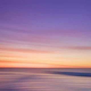 Minimal nature phone wallpaper