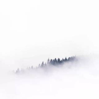 Minimal nature phone wallpaper