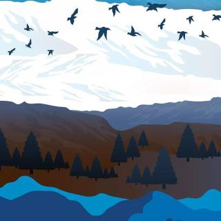 Minimal nature phone wallpaper