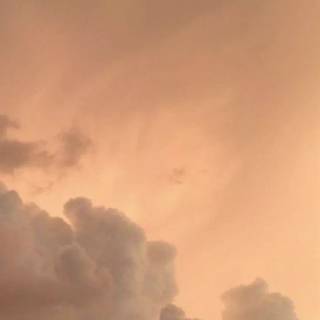 Light Academia iPhone wallpaper