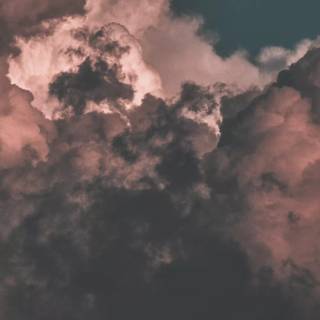 Light Academia iPhone wallpaper