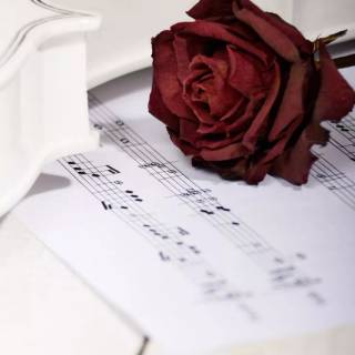 Light Academia iPhone wallpaper