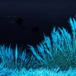 iPhone Big Sur wallpaper