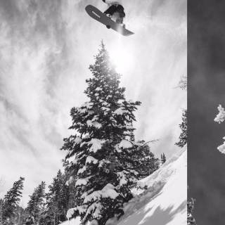 Snowboarding phone wallpaper