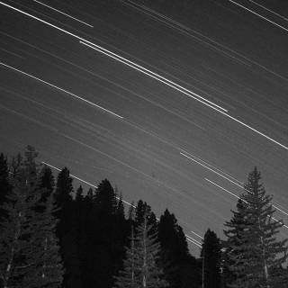 Dark wood iPhone wallpaper