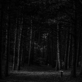 Dark wood iPhone wallpaper