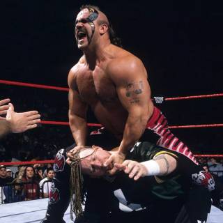 Road Warrior Animal wallpaper