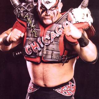 Road Warrior Animal wallpaper