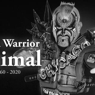 Road Warrior Animal wallpaper