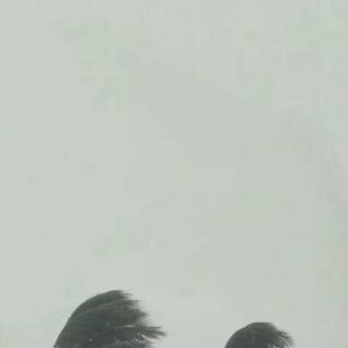 Suicideboys album cover wallpaper