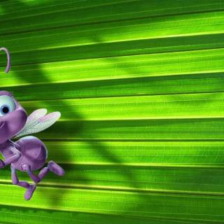 Toy bug wallpaper