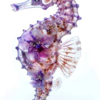 Seahorse drawing wallpaper