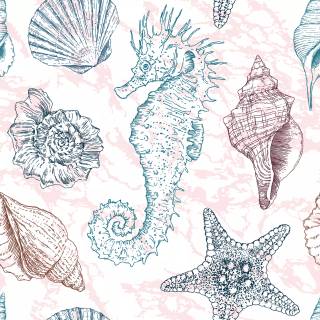 Seahorse drawing wallpaper