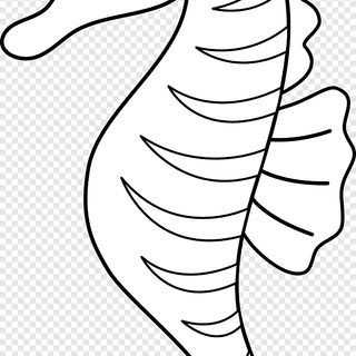 Seahorse drawing wallpaper