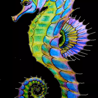 Seahorse drawing wallpaper