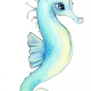 Seahorse drawing wallpaper