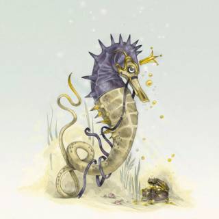 Seahorse drawing wallpaper