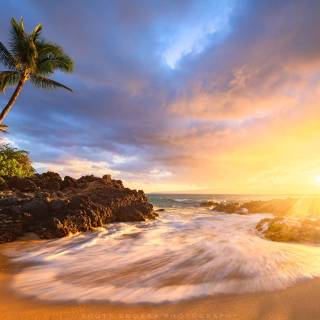 Hawaii landscape beach wallpaper