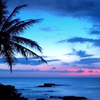 Hawaii landscape beach wallpaper