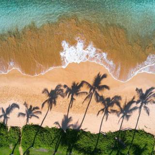 Hawaii landscape beach wallpaper