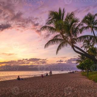 Hawaii landscape beach wallpaper