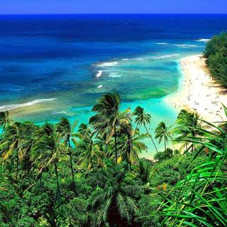 Hawaii landscape beach wallpaper
