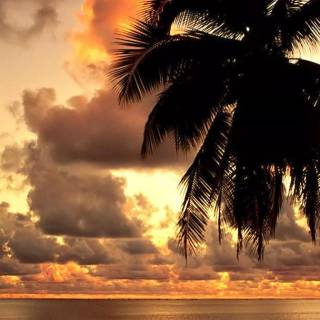 Hawaii landscape beach wallpaper