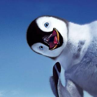 Cute penguin baby wallpaper