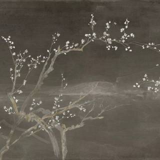 Sakura monochrome wallpaper