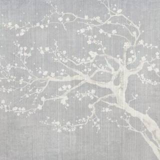 Sakura monochrome wallpaper