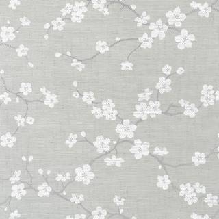 Sakura monochrome wallpaper