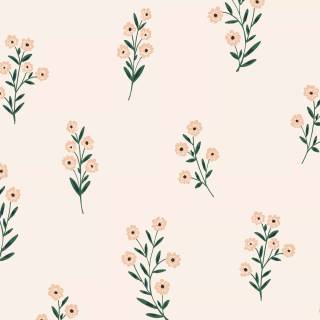 Drawable wallpaper