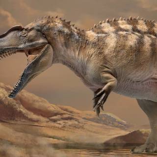 Acrocanthosaurus wallpaper