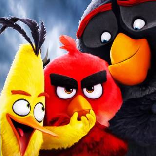 Angry Birds funny wallpaper