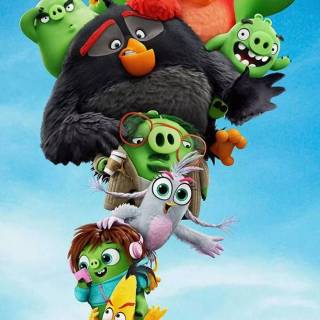 Angry Birds funny wallpaper