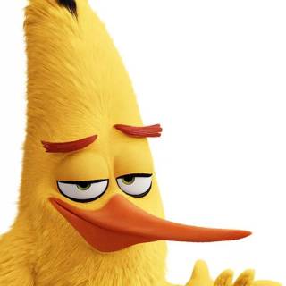 Angry Birds funny wallpaper