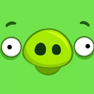 Angry Birds funny wallpaper