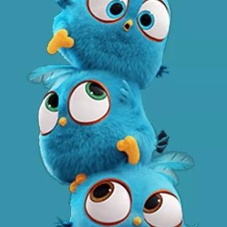 Angry Birds funny wallpaper