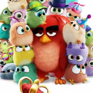 Angry Birds funny wallpaper