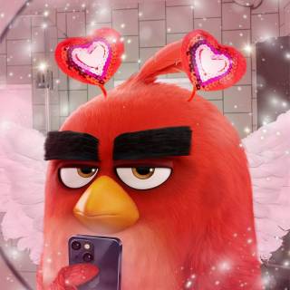 Angry Birds funny wallpaper