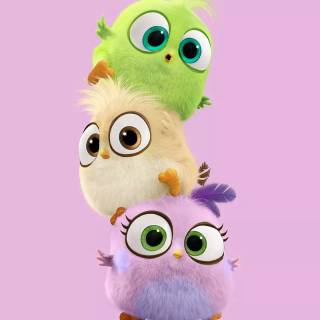 Angry Birds funny wallpaper