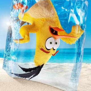 Angry Birds funny wallpaper