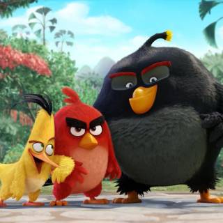 Angry Birds funny wallpaper